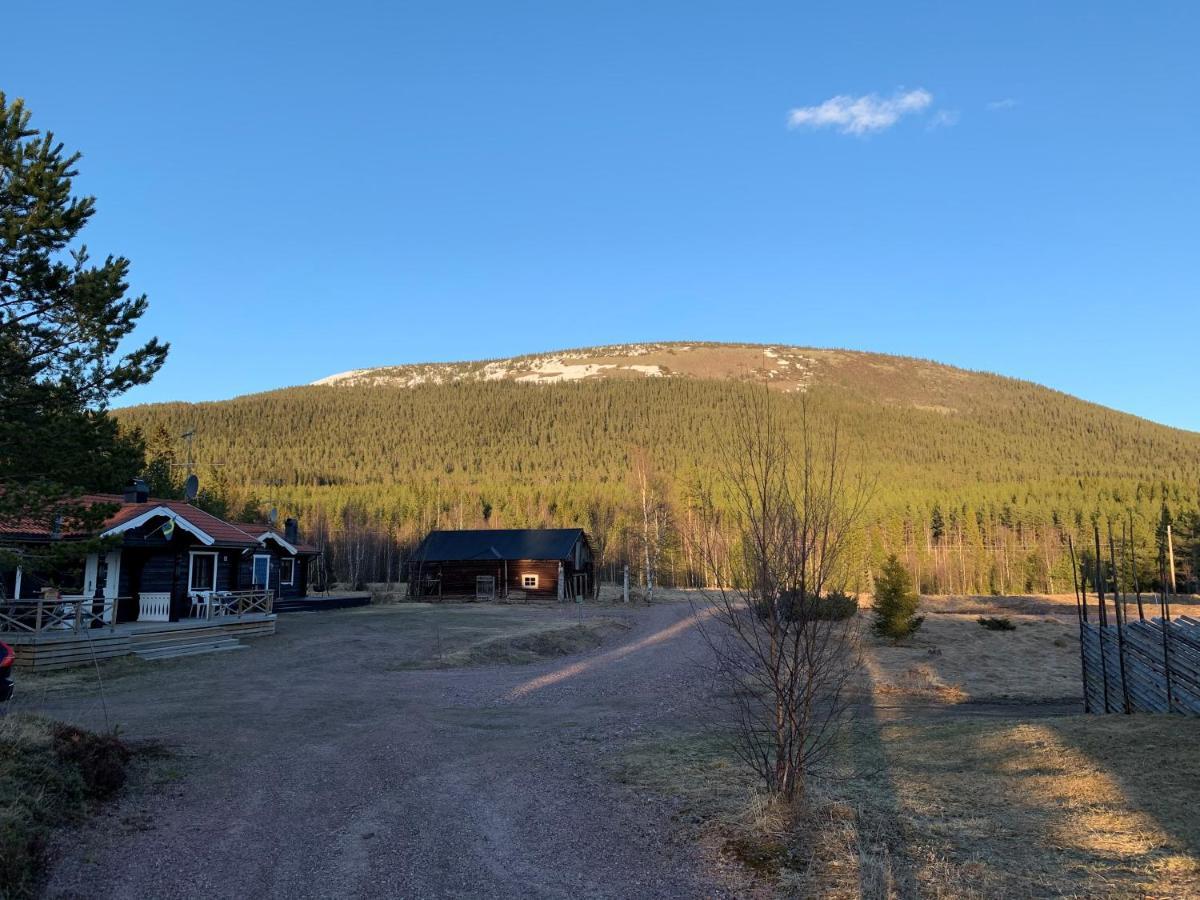 Nymon Mountain Lodge Stöten Kültér fotó