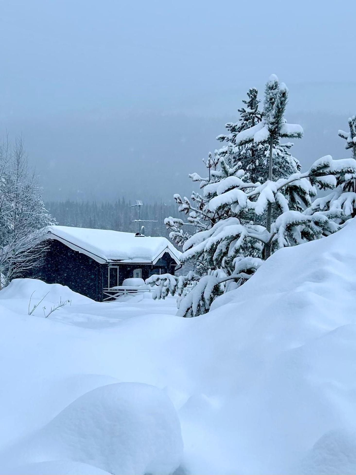 Nymon Mountain Lodge Stöten Kültér fotó