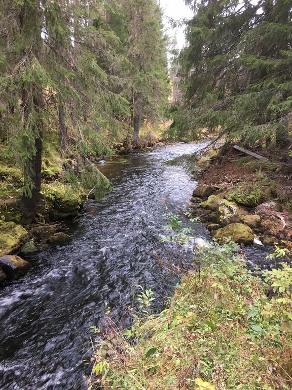 Nymon Mountain Lodge Stöten Kültér fotó